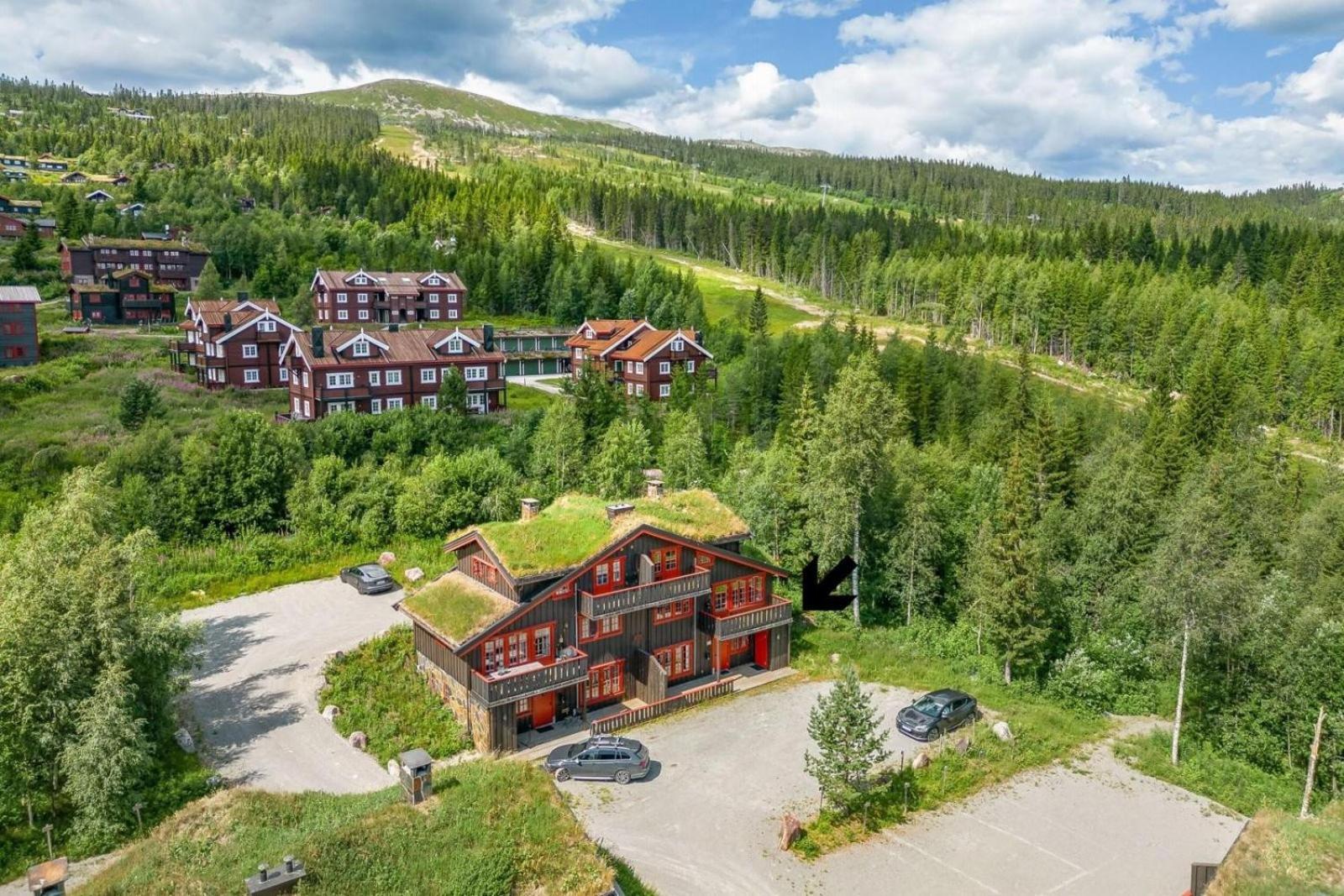 Storsten 725c Apartment Trysil